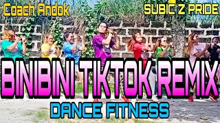 BINIBINI MATTHAIOS TIKTOK REMIX  DJ ROWEL DANCE FITNESS [upl. by Eneja]