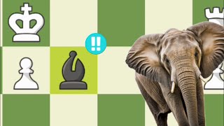 Elephant Trap Explained Fast chess [upl. by Adnara]