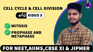 Mitosis in Tamil Part 1  Cell Cycle and Cell Division in Tamil 5 [upl. by Adiarf]