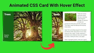 Responsive CSS Cards with Hover Animation  CSS Cards  Web Designing Tutorial [upl. by Theron]