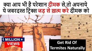 एक ही बार में जड़ से ख़त्म करे दीमक को इस सटीक उपाय से How To Get Rid Of Termites Naturally Furniture [upl. by Rafaelita627]