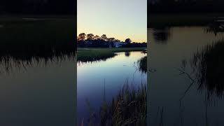 Tybee Island Georgia the Marsh area behind my rental home coastalgeorgia tybeebeach tybeeisland [upl. by Akirahs935]