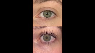 Yumi Keratin Lash Lift  Gatsby Salon [upl. by Magel]