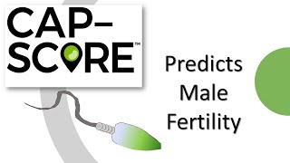 CapScore™ predicts probability of generating pregnancy PGP [upl. by Hembree]