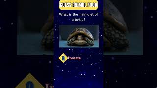 Guessing Animal Food quiz quizgame GuessingAnimalFood guessinggame [upl. by Wynnie]