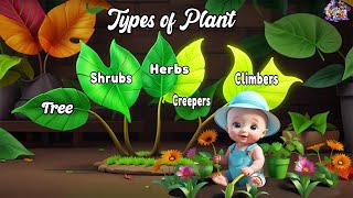 Types of Plants  Plants types for kids  Kids Education Videos  Plants around us [upl. by Ahders519]