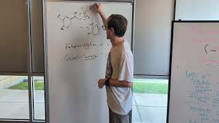 Nucleophile and Electrophile Substitutions [upl. by Llerrud460]