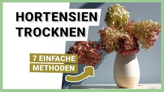 Hortensien trocknen 7 EINFACHE Methoden [upl. by Ameehs]