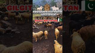 Mountain shepherds lifestyle  Shepherds House  mountains shepherd azan [upl. by Shandee270]