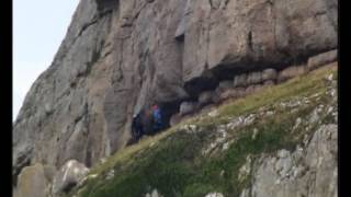 Mountain Goats  amazing rock climbers [upl. by Redford]