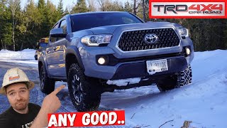 Toyota Tacoma TRD OFFROAD Review Heavy Duty Mechanic  The Best TRD Package [upl. by Kalvn]