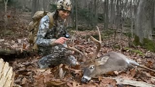 MOUNTAIN BUCK DOWN  Public Land Deer Hunting in Pennsylvania [upl. by Ytissac]