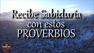 Proverbios de la Biblia  Recibe paz y sabiduria de parte de Dios [upl. by Austen967]