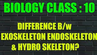 Difference Between Endoskeleton Exoskeleton and Hydro Skeleton For Class 10th [upl. by Atil]