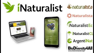 Como usar iNaturalist o Naturalista 2023 desde la PC y el Celular [upl. by Anitsrihc426]