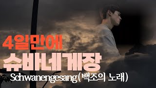 Schubert  Liszt Standchen sérénade  종소리와 빗소리 [upl. by Karab401]