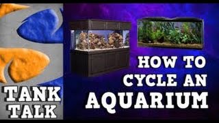 HOW TO CYCLE AN AQUARIUM TANK TALK Presented by KGTropicals [upl. by Ert]