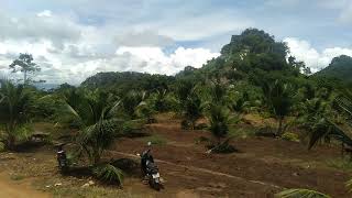 I Tried Coconut Farming on a Mountain for 30 Days Heres What Happened [upl. by Mattox]