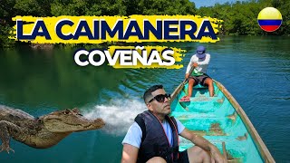 ¿Qué visitar en Coveñas Paseo Imperdible en la Ciénaga la Caimanera  Sucre Colombia [upl. by Parks]