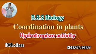 hydrotropism activity in 10thclass full explanation video [upl. by Ajan]