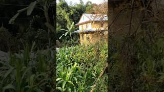 Nepali Village Ramechhap rameshkarki youtubefeed youtubeshorts [upl. by Weinstein]