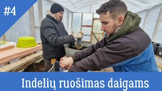 Indelių ruošimas daigams  S24 [upl. by Nevil810]