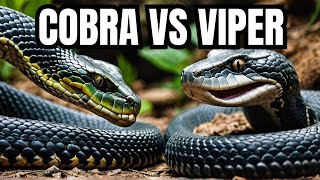 VENOMOUS SHOWDOWN King Cobra vs Pit Viper  Who Will Reign [upl. by Akimahc997]