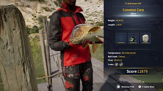 Common Carp Location Challenge 2  Catch A Sliver Rank Or Higher  Call Of The Wild  The Angler [upl. by Gawain768]