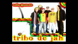 Tribo de Jah  Neguinho Babaçu [upl. by Sivra]