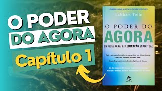 01  O PODER DO AGORA  Capítulo 1  Audiobook  Eckhart Tolle [upl. by Tullus]