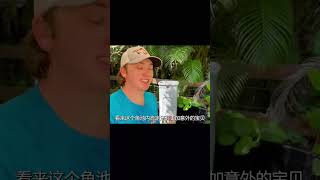 鮑比正式回歸，帶您暢游魚池內的珍稀觀賞魚！ 钓鱼 捕鱼 户外捕鱼 河中巨怪 杰瑞米瓦德 [upl. by Lenoel224]