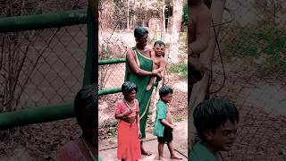 natures gift  Kaveri Nisargadhama  Bamboo Parkytviral ytshorts nisargadhama trending fypyt [upl. by Stead271]