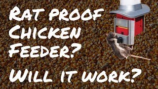 Rat amp Pest Proof Chicken Feeder by Roamwild PestOff [upl. by Ahsiat]