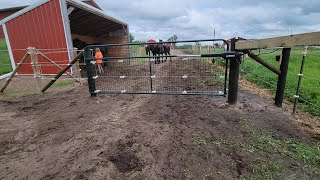 AUTOMATIC GATE TIMER OPENER for Horses Livestock [upl. by Eetnwahs3]