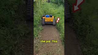 this man finds best Grass Trimmers machine shortsviral satisfying cars [upl. by Tri714]