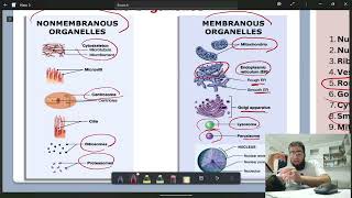 Histology Lecture 3 Part A [upl. by Hagep]