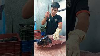 How to Remove Skin Bighead Fish  Fish Fillets fishcutting [upl. by Ruperto]