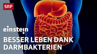 Mikrobiom – wie die Bakterien im Darm über unsere Gesundheit entscheiden  Einstein  SRF Wissen [upl. by Rimidalb]