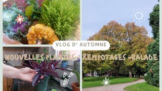 🍁VLOG AUTOMNE  HAUL plantes dextérieur derniers rempotages balade 🍁 [upl. by Aldred]