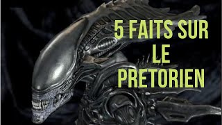 5 FAITS SUR LE XENOMORPHE PRETORIEN [upl. by Enar]