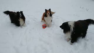 Its Snowing Lets Play Ball [upl. by Elin]