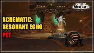 How to get Schematic Resonant Echo Pet WoW [upl. by Geordie]