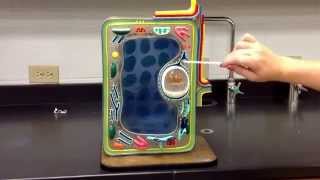 Plant Cell Model [upl. by Yro]