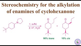 Stereochemistry for the alkylation of enamines of cyclohexanone [upl. by Swayne]