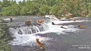 Super Epic Bearapalooza 17 Brown Bears at Brooks Falls 2 hours uninterrupted [upl. by Nelan]