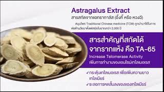 Astragalus Extract สารสกัดจาก แอทรากาลัส อึ้งคี้ หรือ หวงฉี มีประโยชน์อย่างไร [upl. by Pernell]