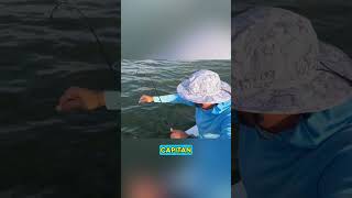 What a catch tarpon fishing chokoloskee [upl. by Elisa986]