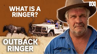 What is an Outback Ringer  Outback Ringer [upl. by Georgeta]