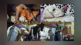 papa asla Tojo sob somy arokom kora🤦doglovercutedoghighlightsviralvideo [upl. by Kata521]