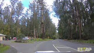 4K DASH CAM AUSTRALIA VICTORIA Driving from Kallista to Carrum Downs [upl. by Sialac]